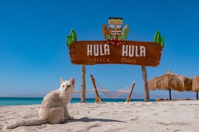 Paradise Island Hula Hula