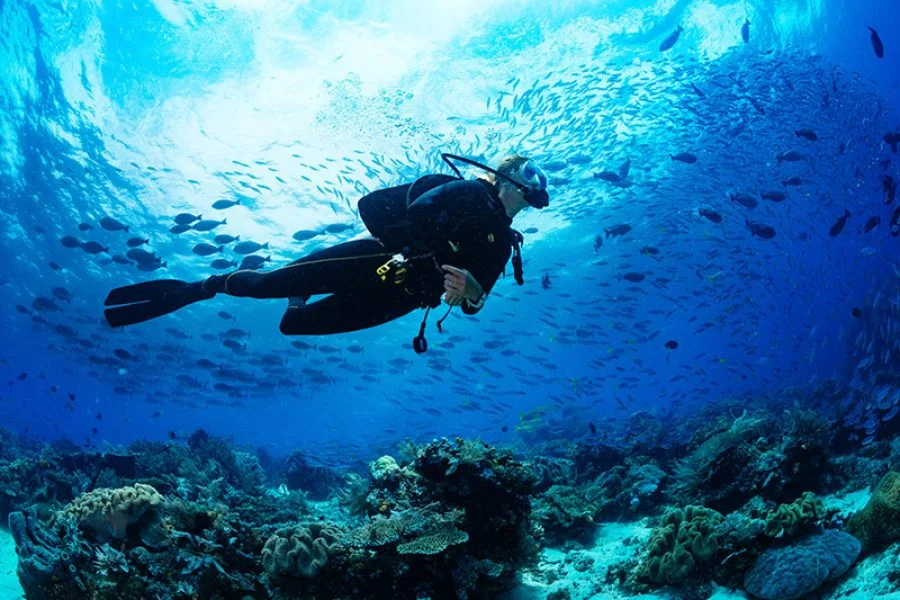 Scuba Diving Hurghada