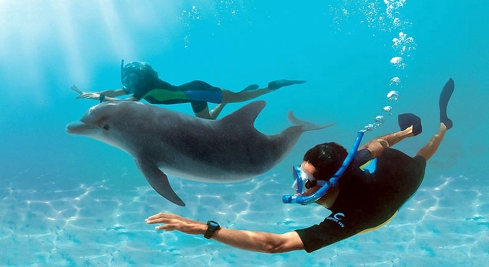 Dolphin House Hurghada