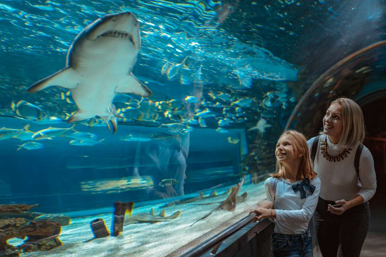 Hurghada Grand Aquarium