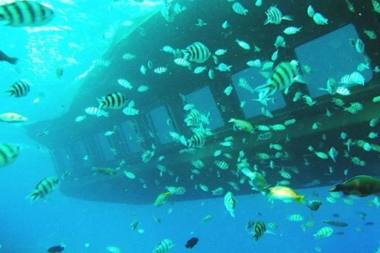Glass Bottom Boat Hurghada