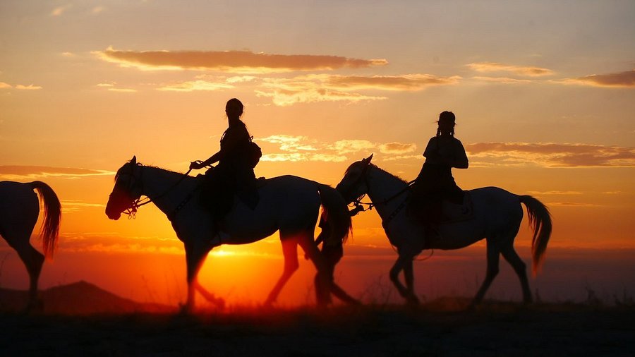 Horse Riding Hurghada