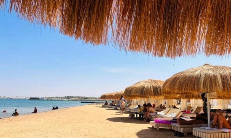 642561428